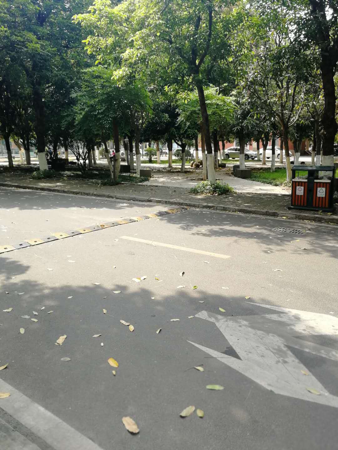 岭南师范学院分数线,岭南师范学院专业组