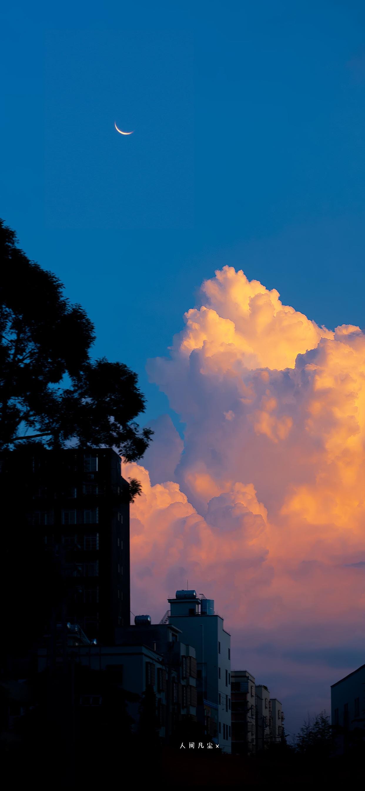 热门壁纸134期,快收藏高质量壁纸合集