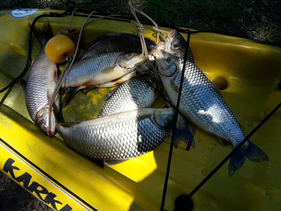 这才是最真实的国外钓鱼人，别崇洋媚外了，原来我们都被骗了