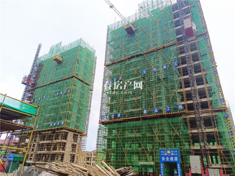 花郡玫瑰园1月份最新工程进度,工程进度洋房已封顶