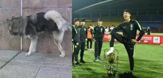 韩国队输球后道歉,国足0-3不敌韩国男足赛后评价