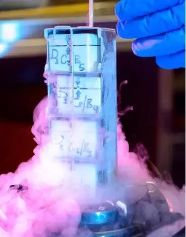 冻卵并非唯一选择,为什么越来越多女性选择冻卵