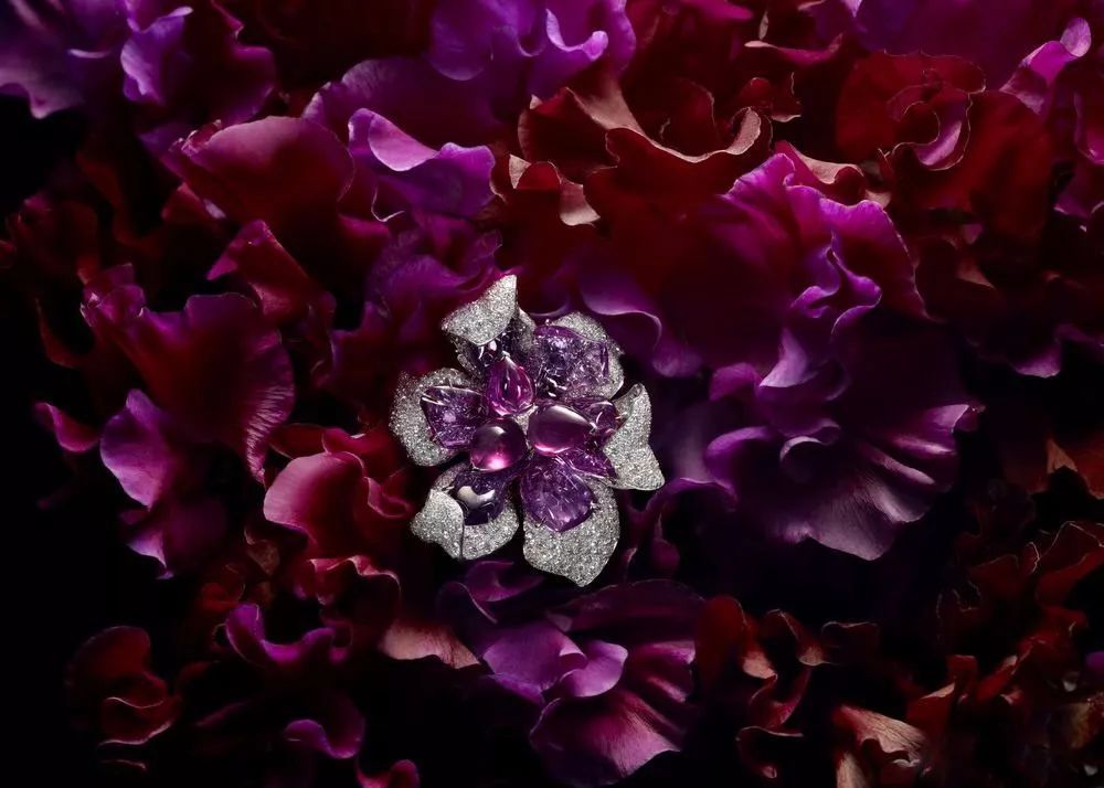 卡地亚经典金曲,卡地亚隽永设计