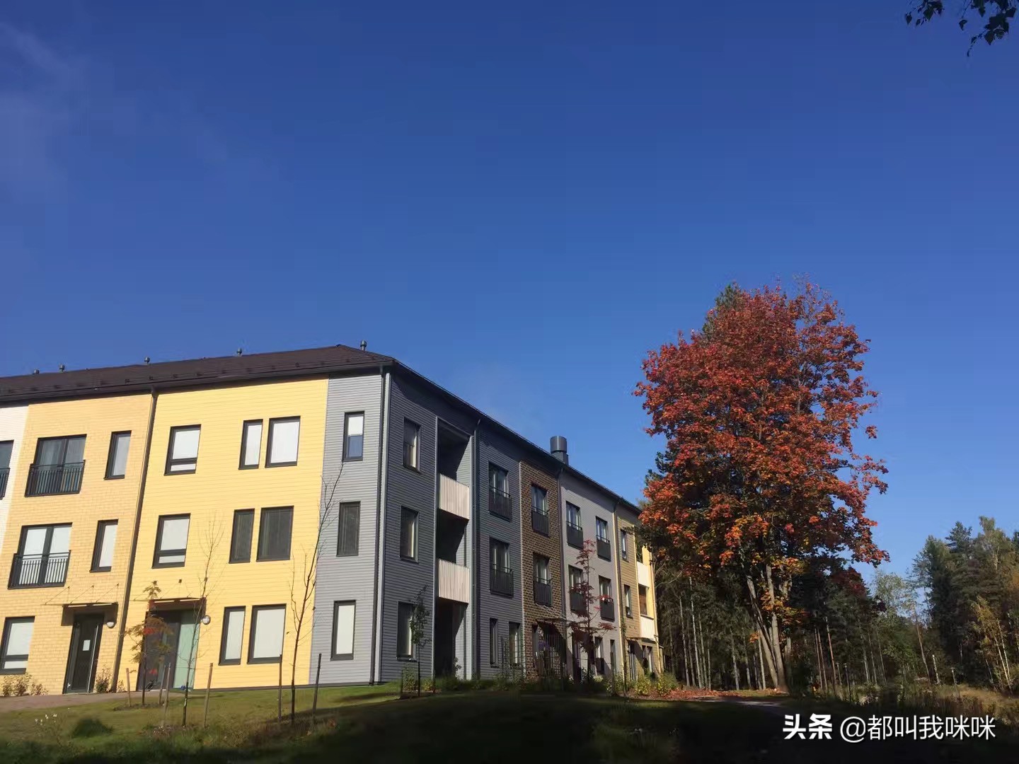 北欧哪个国家生活舒服,北欧和欧洲哪个适合生活