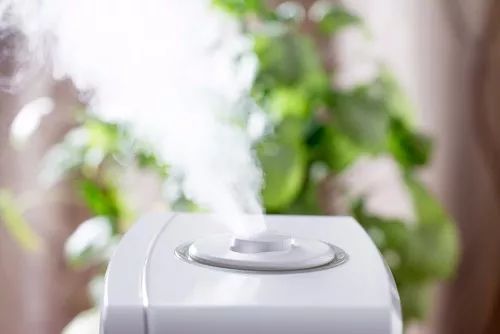 撸猫时千万要注意猫咪这四个动作,撸猫产生静电对猫有影响吗