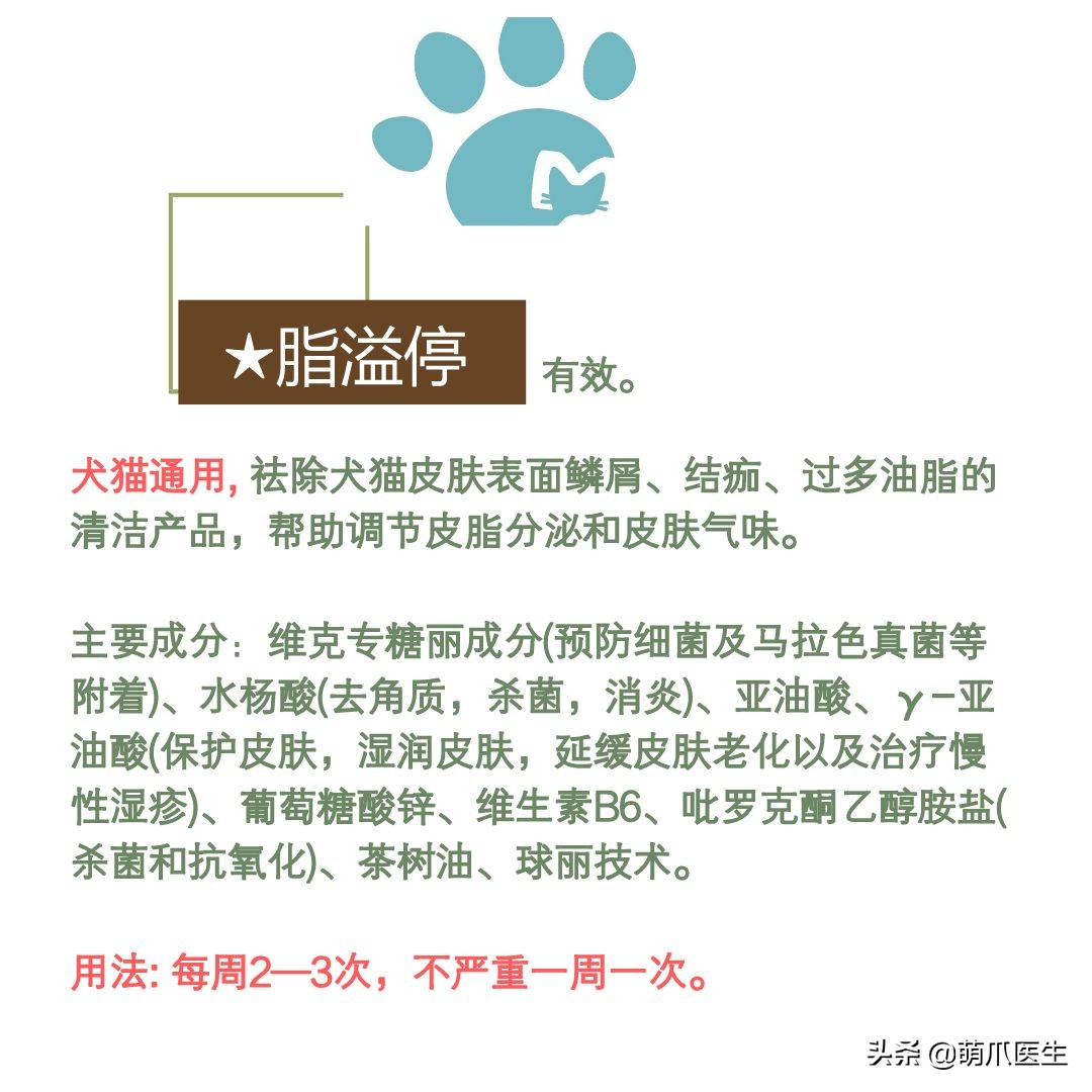 猫咪下巴长了黑头？千万别去抠，那是猫咪患上了毛囊炎的症状