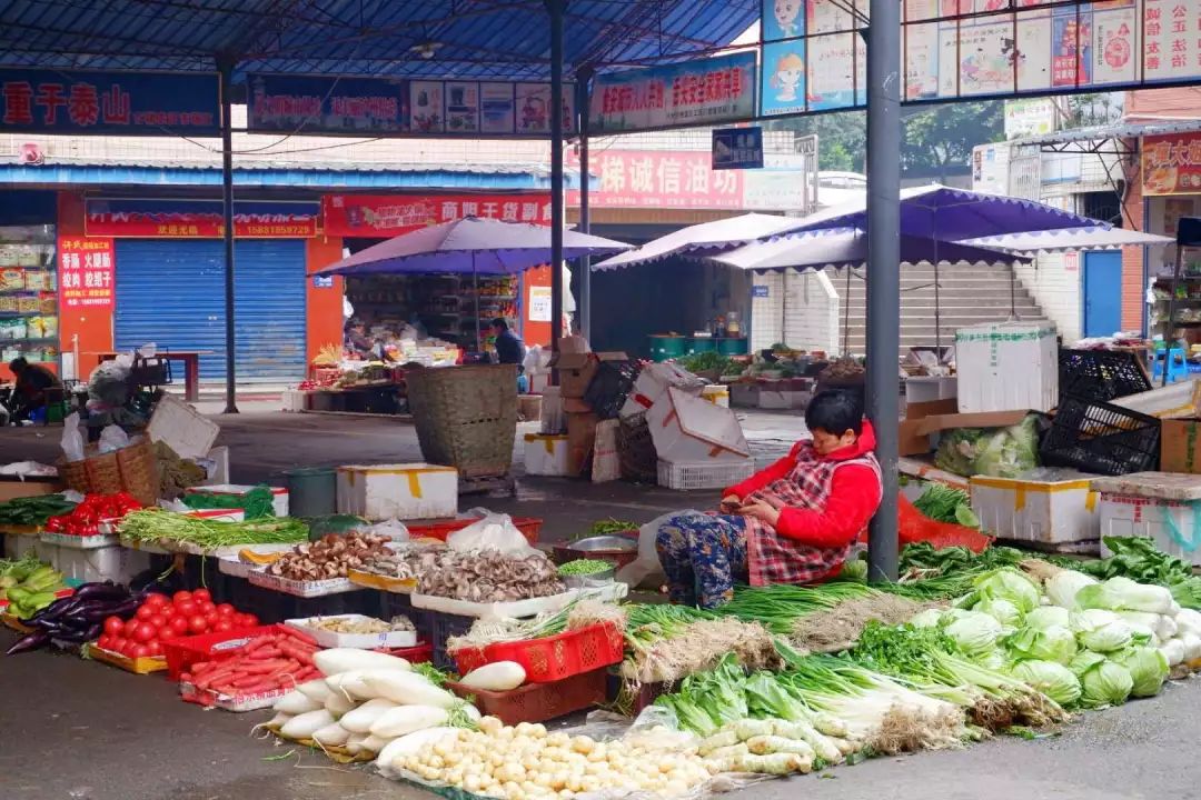 下一站泸州粤语,下一站泸州古蔺