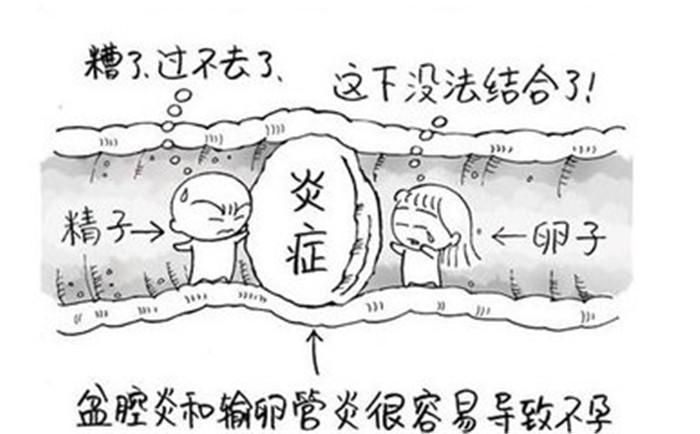 输卵管堵塞会影响什么妇科问题,输卵管堵塞为什么会引起不孕