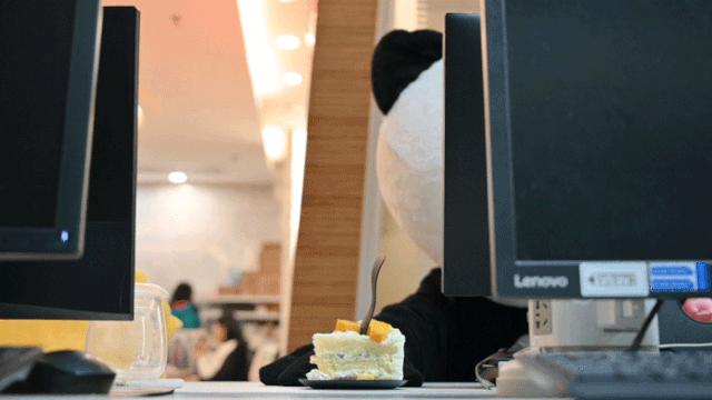 社群粉丝超300万，年复购3.7次，网红蛋糕熊猫不走的暴走之路