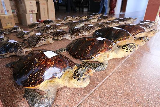 它“避得了邪”，却护不住自己