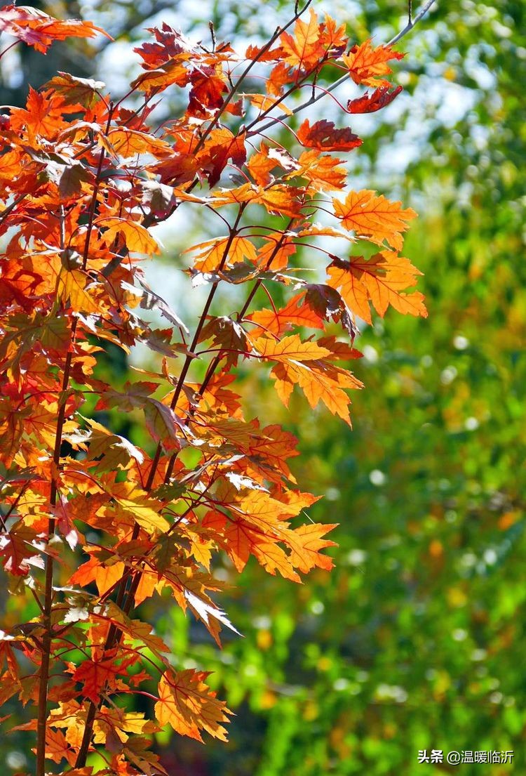 竹泉村景区,最美竹泉村