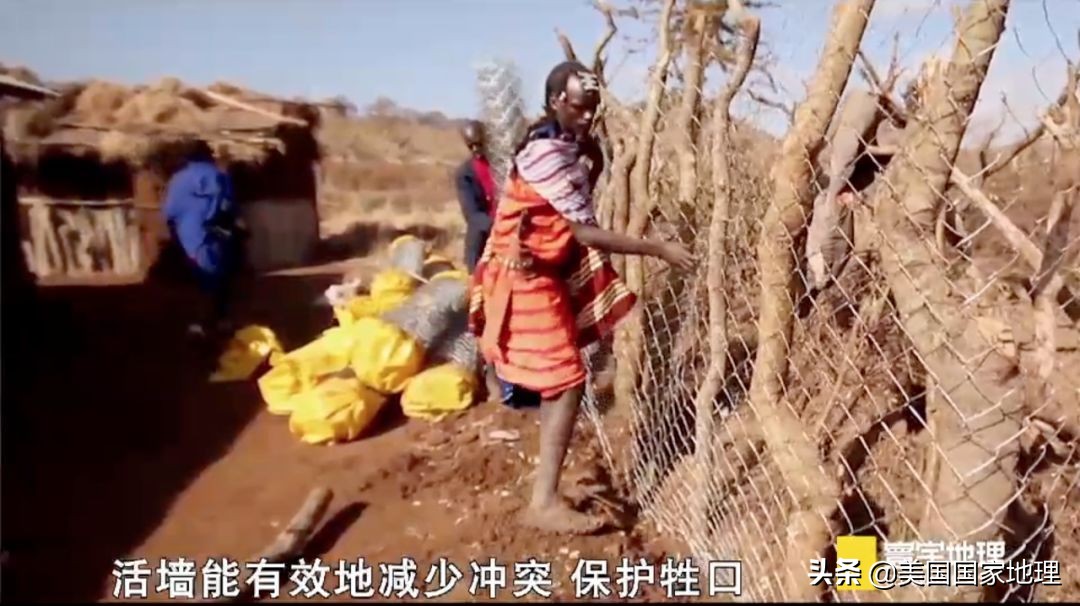 是什么激励着国家地理女探险家们改变世界的?