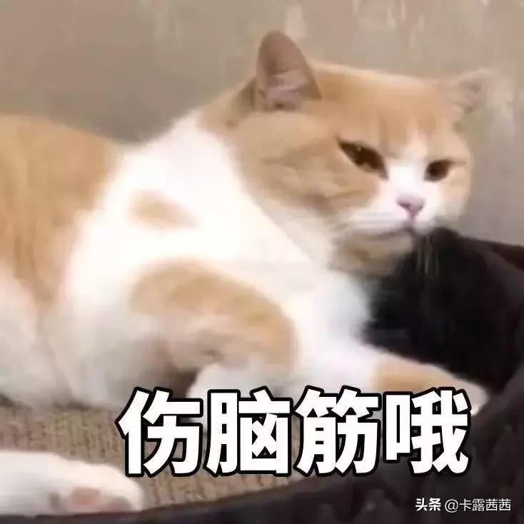 每天5分钟，拥有迪丽热巴、李宣美同款大长腿，赶紧get起来