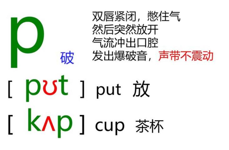 国际英语48个音标发音视频教程,英语零基础音标教程