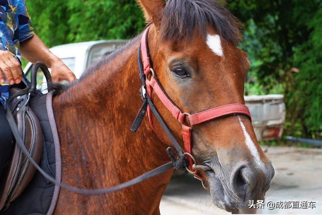 看瀑布四川,广安第一宽瀑布