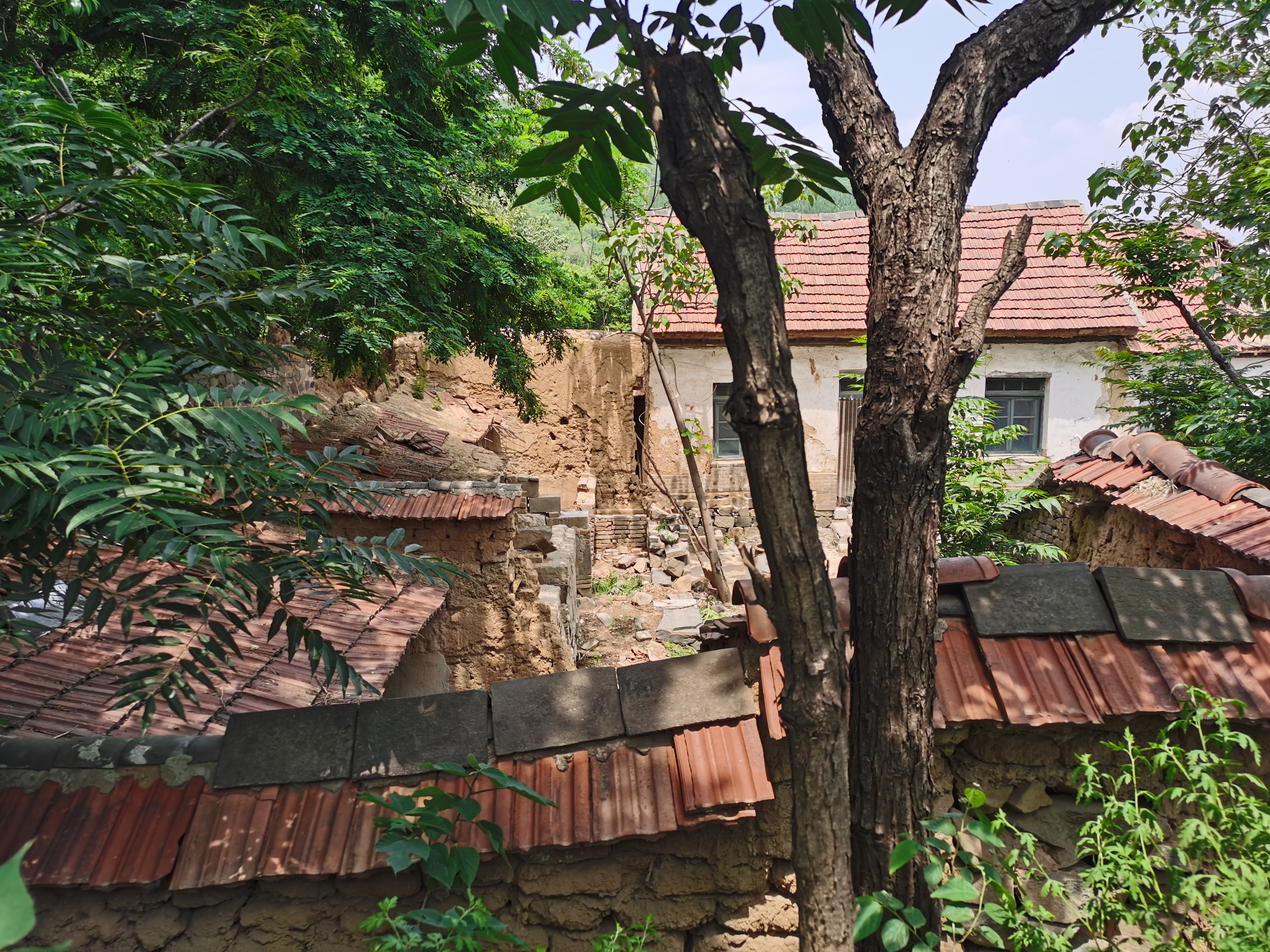 娟子的农村事打井,娟子被推入井里