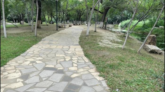 自动开合，三轴一体便携无压力-SNOPPA随拍ATOM2自动折叠手机云台