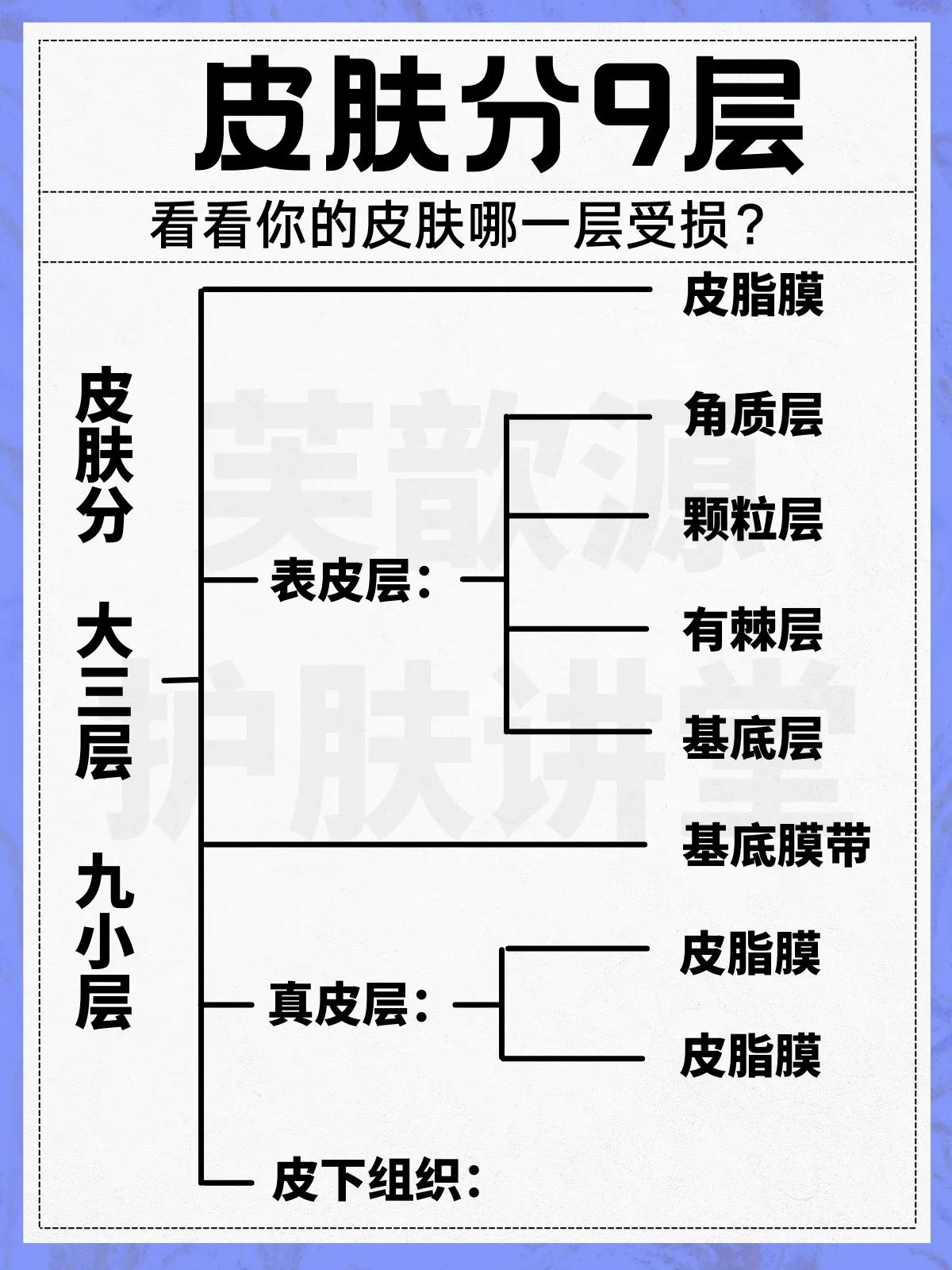 怎么判断皮肤屏障受损还是有炎症,皮肤敏感泛红角质层受损如何修复