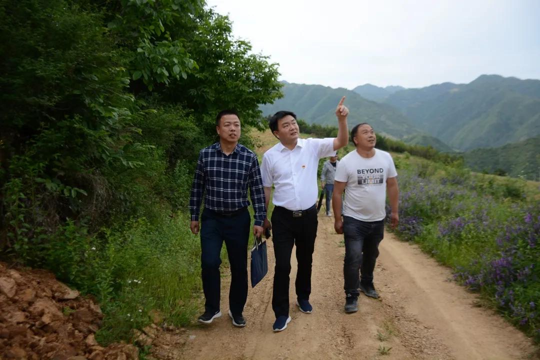 同心奔小康·柞水行|“山茶娃”凝聚浓浓“山海情”