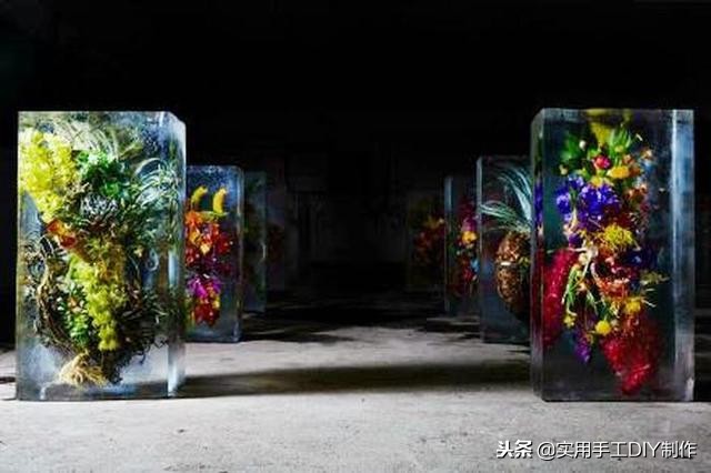 鲜花摄影作品欣赏,高清鲜花美图