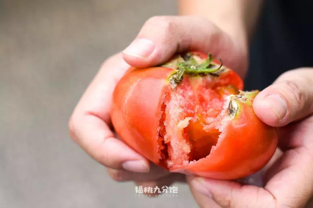 苏州十大好吃的地方排行榜,苏州是江苏第几个城市