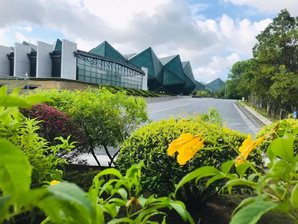 深圳龙岗跑步圣地排行榜,龙岗跑步圣地