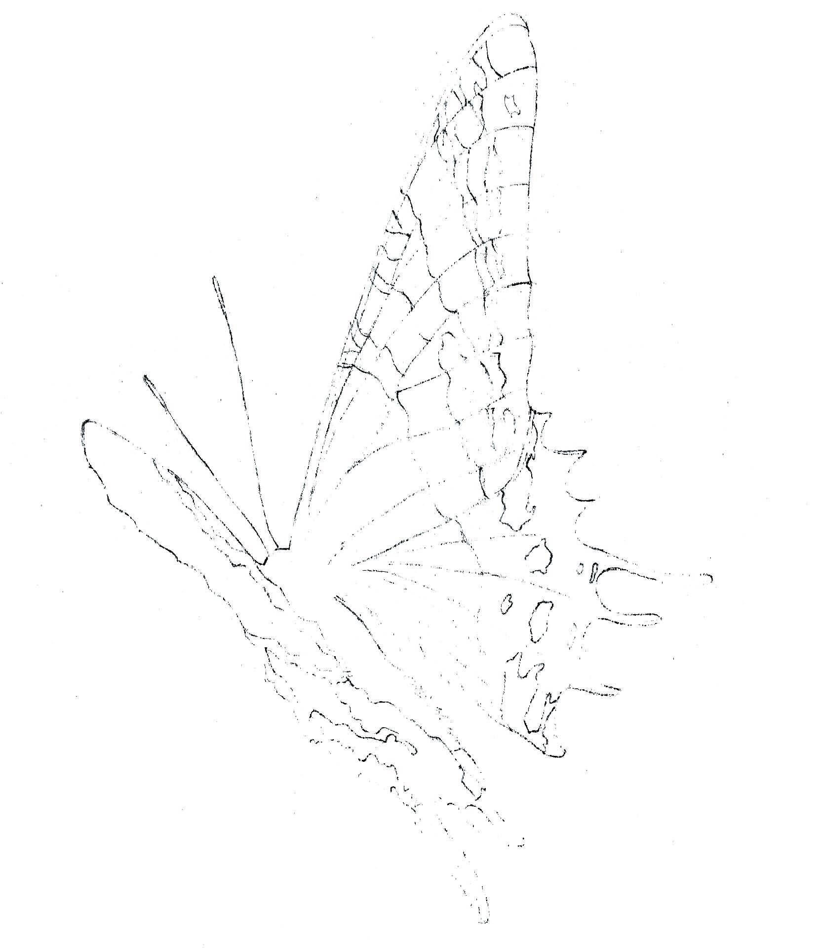 3d错觉画教程,3d错觉画作品