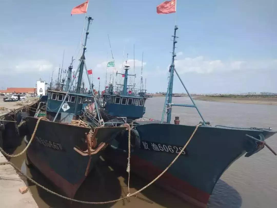 有一种炫富叫青岛开海啦,青岛炫富最新方式