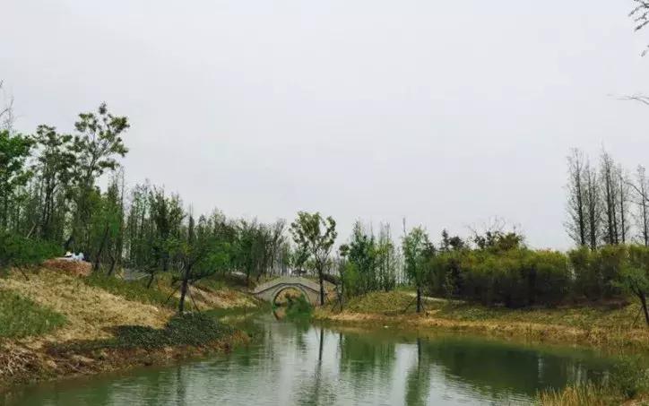 太全了,南京人少景美的免费公园