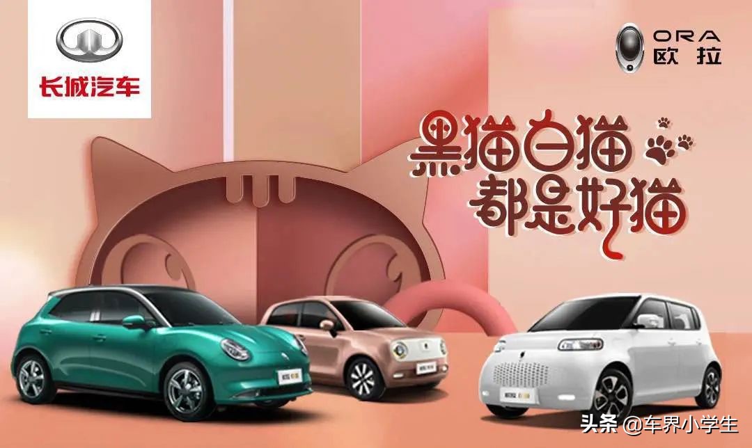 欧拉好猫3万元新车,新款欧拉好猫实车曝光