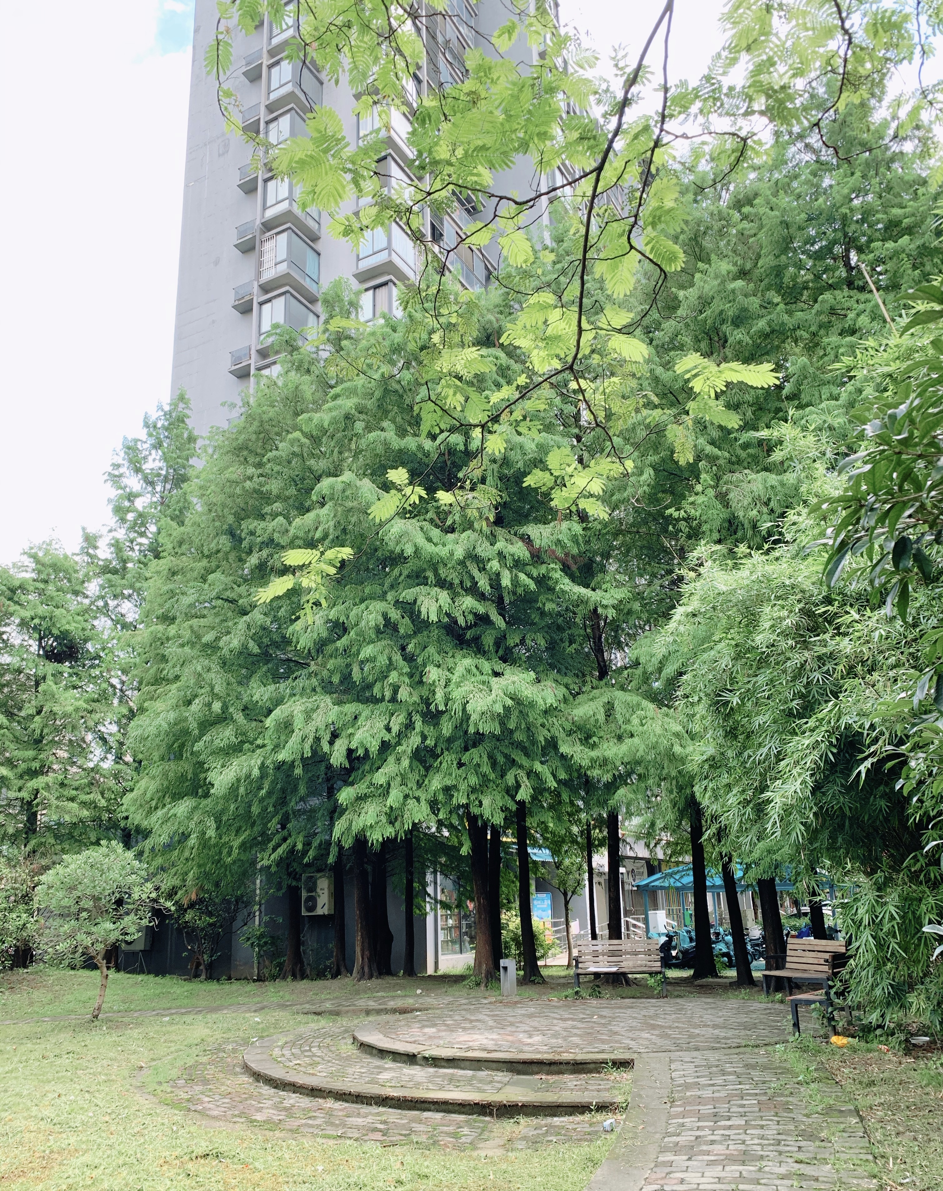 花桥二手房解析,花桥启航急售二手房