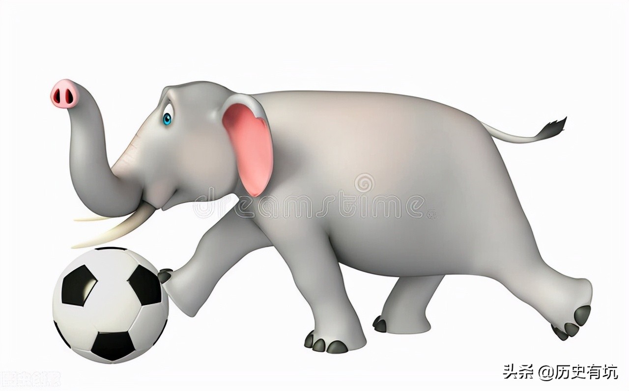 宁可和大象踢足球，也不想被C罗请吃饭？