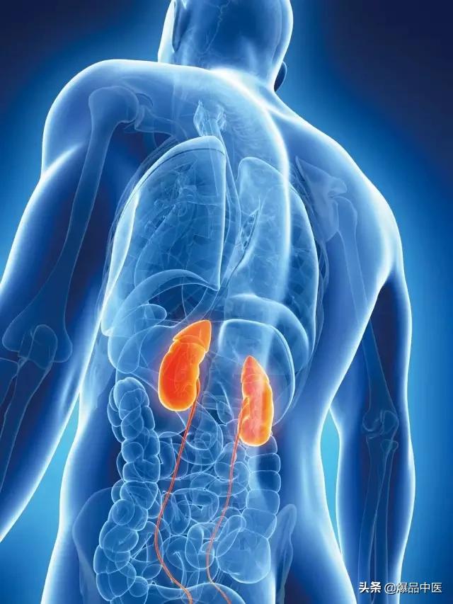 全息望诊大全视频,浅议生物全息律与中医望诊