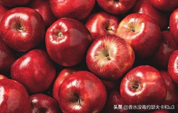 爱马仕屋顶香水寓意,爱马仕香水屋顶花园小样