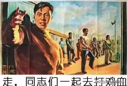 摇号进入民办初中概率,摇号进民办的学校享受名额到校吗