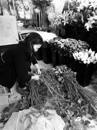 西安花卉市场调研,西安花卉网上批发市场
