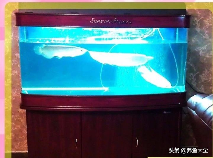 用烟灰缸砸小三,有人用烟灰缸砸老婆