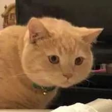 妮维雅q10面霜lamer,lamer面霜简装和精装有什么区别