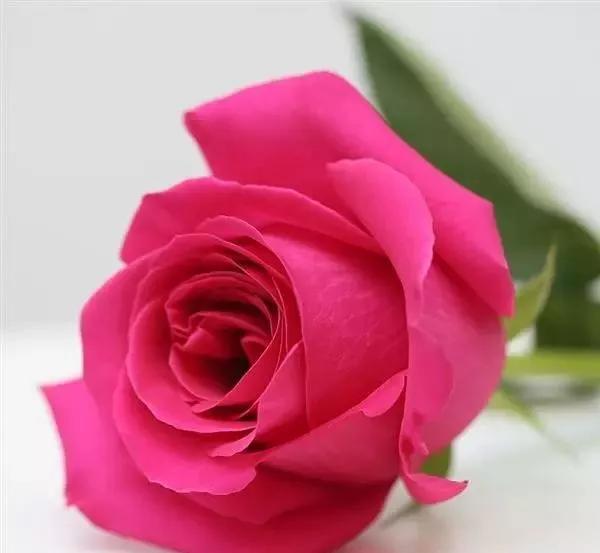 每天学习一点点女性小常识,每天学习一点点科普一下