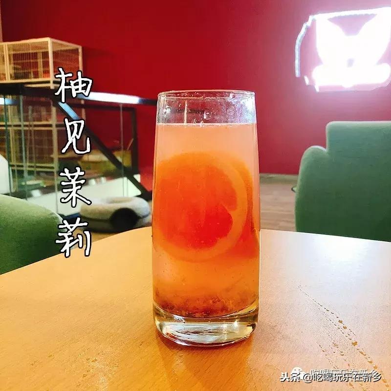 猫主子驾到,猫咪主子驾到