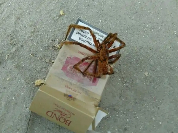 带你去赤道看海,赤道几内亚国家地图