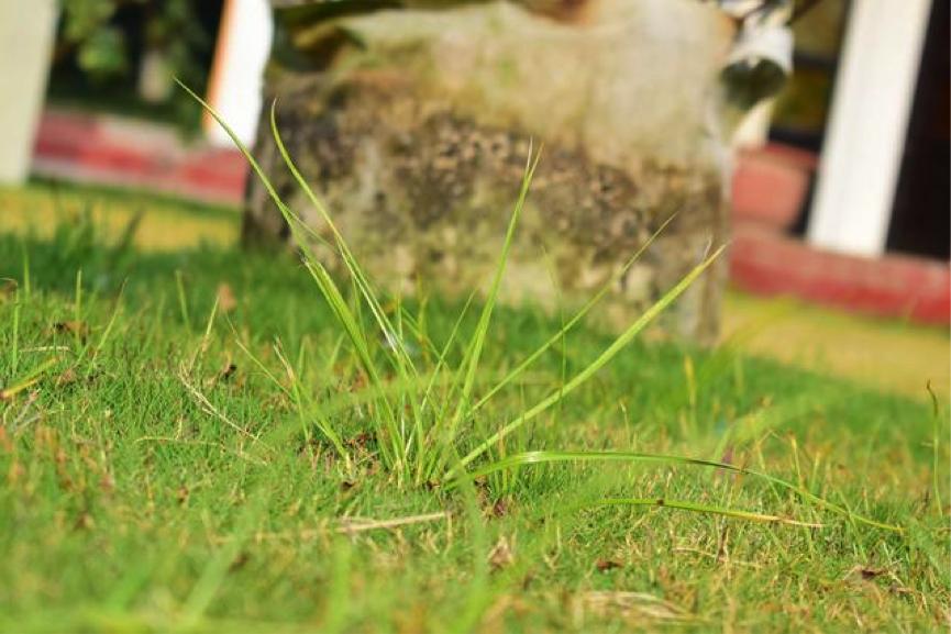 尼康d5300拍摄欣赏,尼康d5300一镜走天下