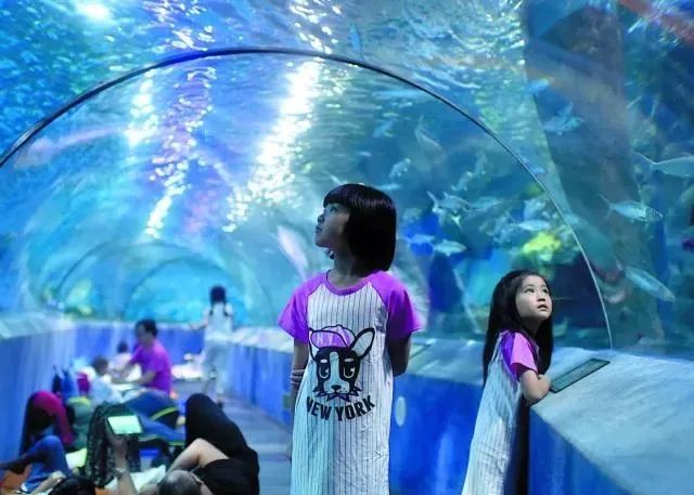 南京海底世界小朋友要票吗,南京海底世界99元一大一小套票