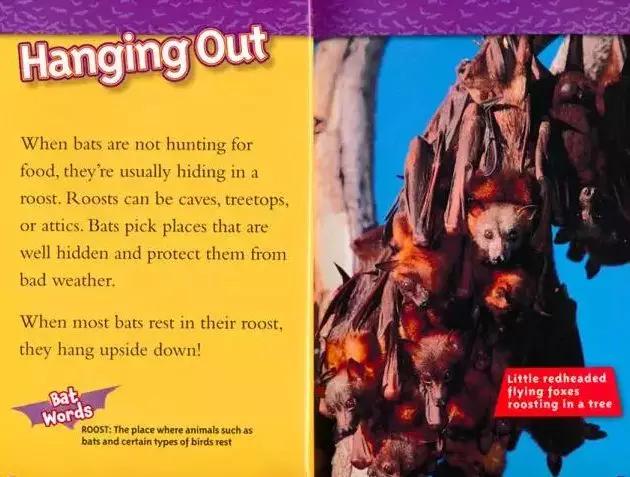 来聊聊总有一天要读的Non-fiction，怎么读，读什么...