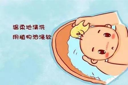 0到3岁幼儿养育手册,人类幼崽养育手册