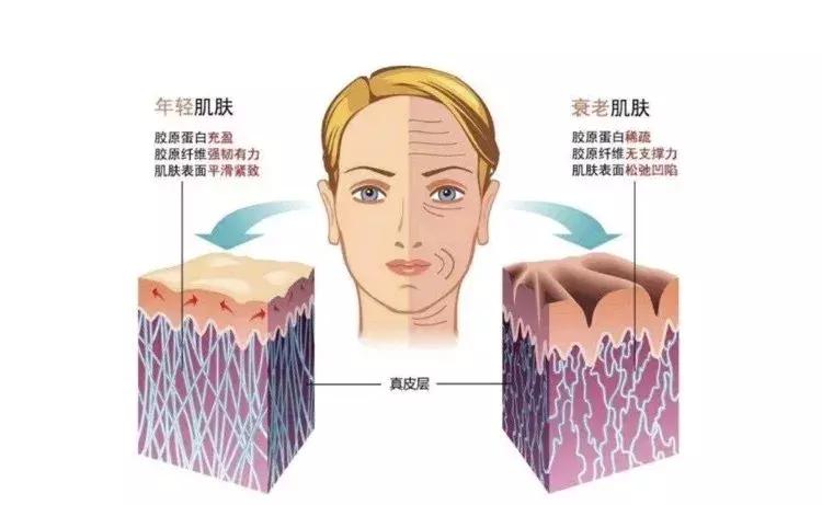 混干痘肌面霜推荐平价,混干适合的面霜推荐