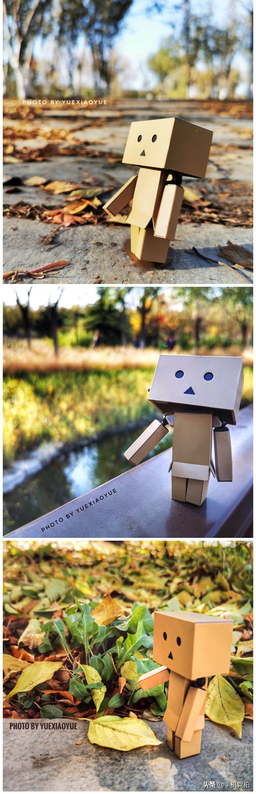 生活小妙招手机摄影,生活小妙招如何拍出爆款