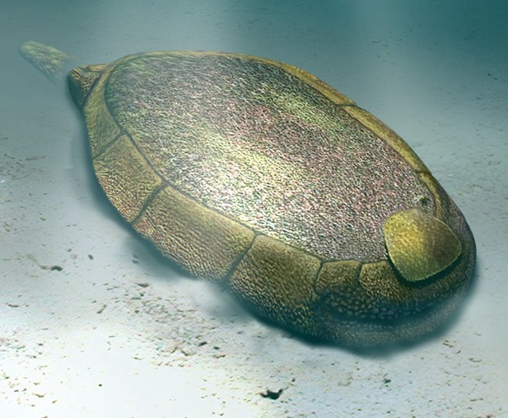 邓氏鱼怎么灭亡,邓氏鱼用什么驯服