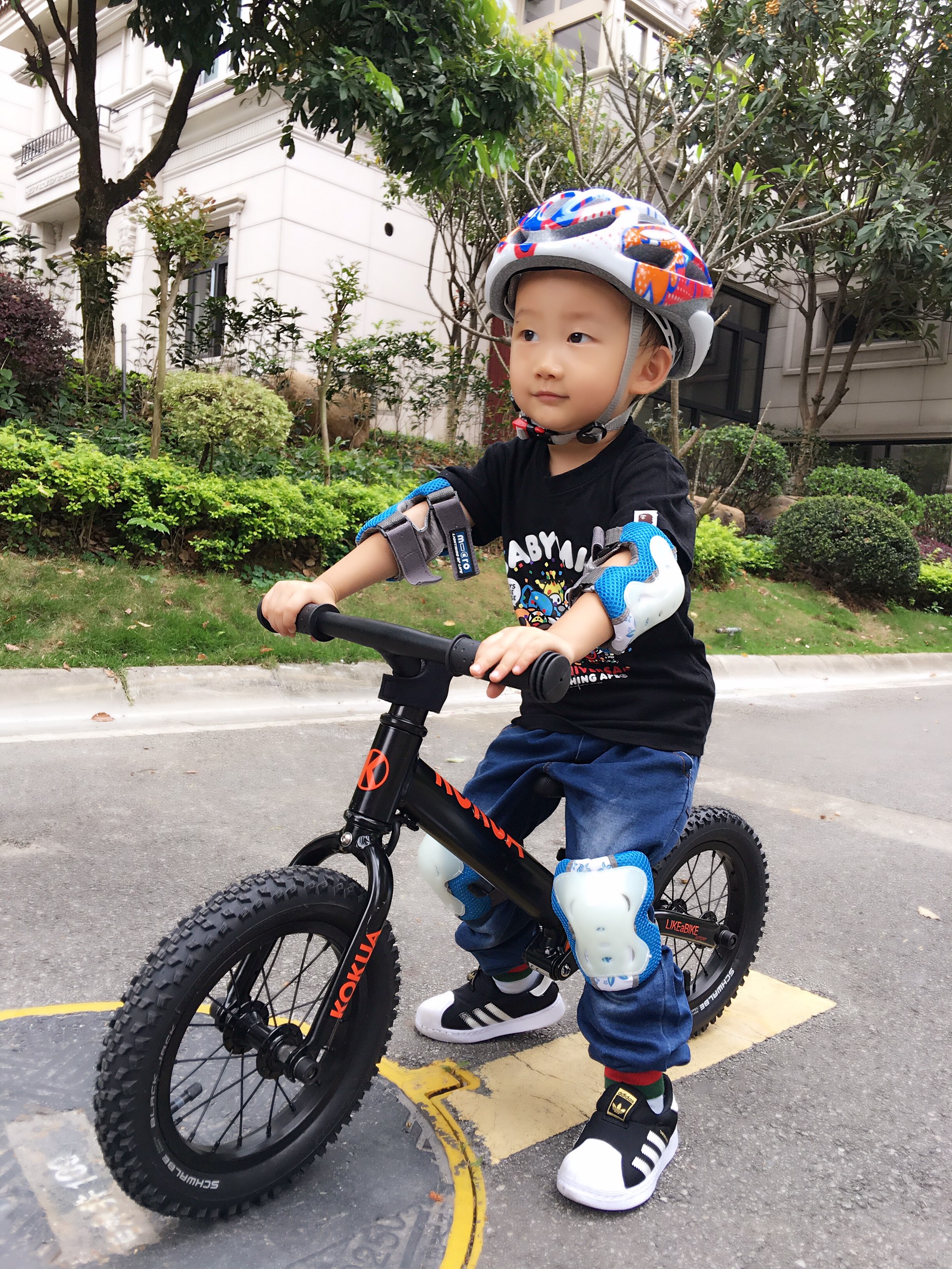 儿童平衡车puky kokua哪个好 (儿童平衡车bike8和kokua对比)