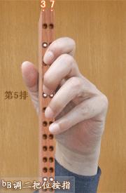 二胡dg调内外弦位置,二胡dgf调把位图